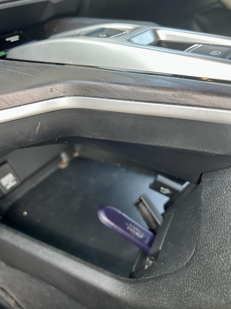 Image #1 from Denise Leal